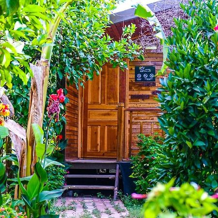 Lemon Garden Lodge Çıralı 외부 사진