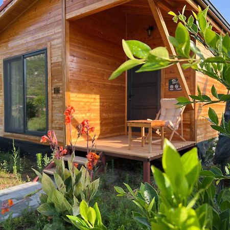 Lemon Garden Lodge Çıralı 외부 사진