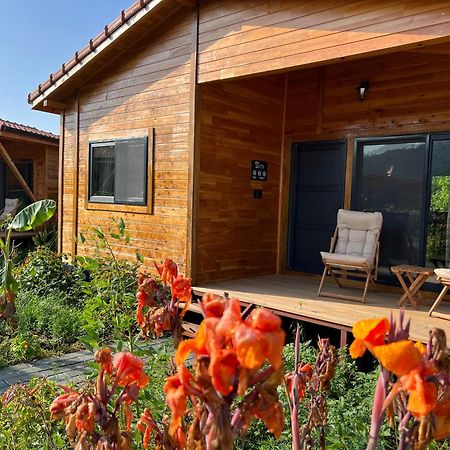 Lemon Garden Lodge Çıralı 외부 사진