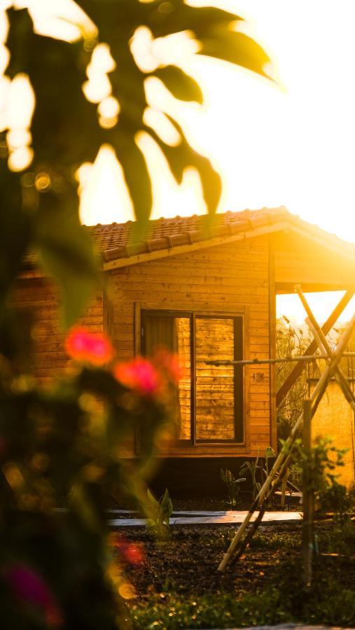 Lemon Garden Lodge Çıralı 외부 사진