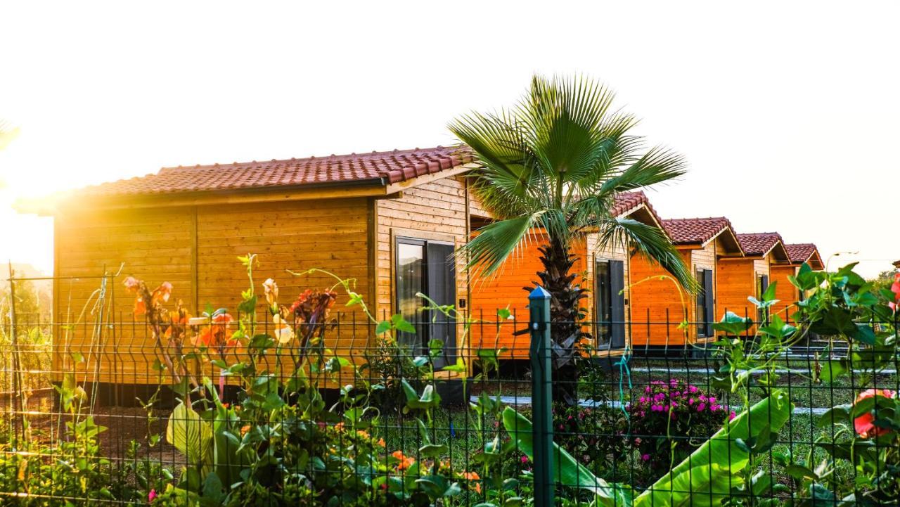 Lemon Garden Lodge Çıralı 외부 사진