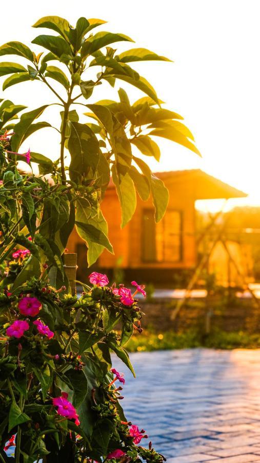 Lemon Garden Lodge Çıralı 외부 사진