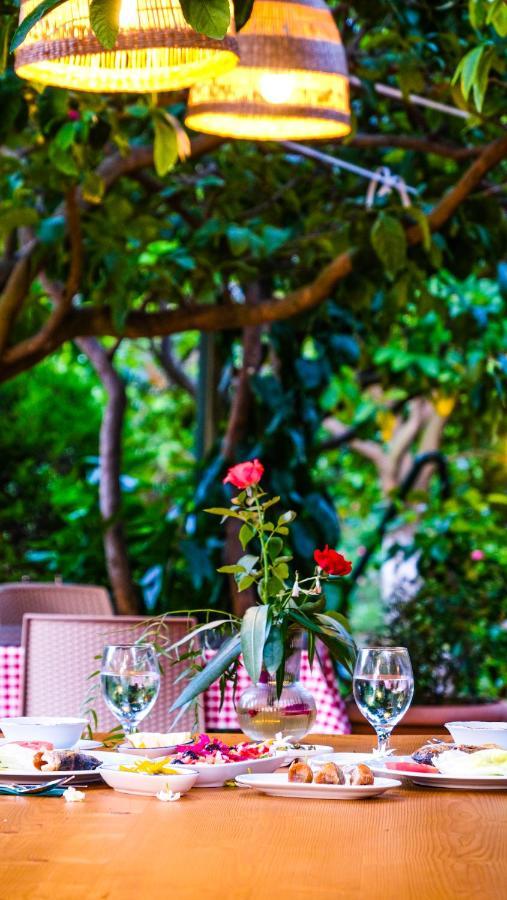 Lemon Garden Lodge Çıralı 외부 사진