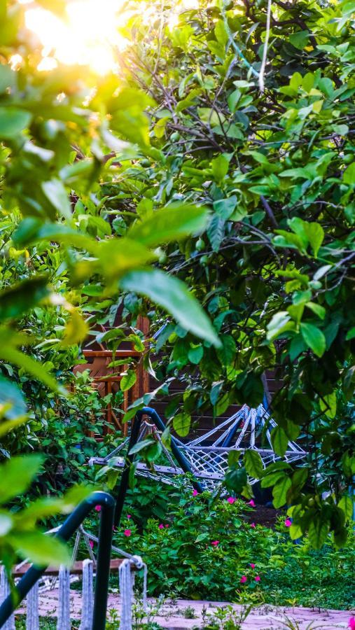 Lemon Garden Lodge Çıralı 외부 사진