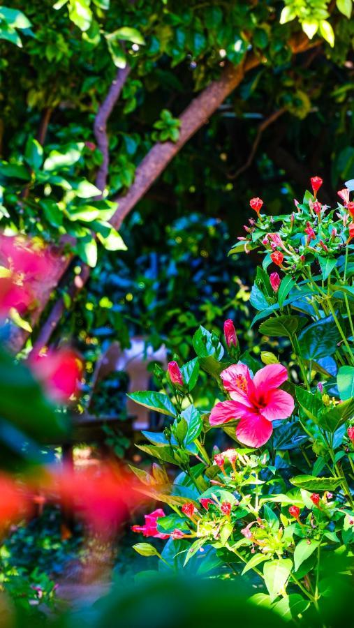 Lemon Garden Lodge Çıralı 외부 사진
