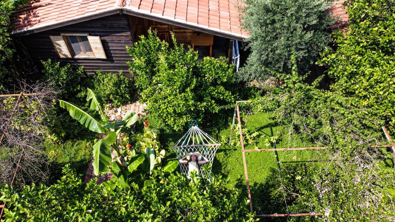 Lemon Garden Lodge Çıralı 외부 사진