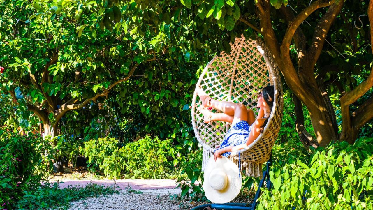 Lemon Garden Lodge Çıralı 외부 사진