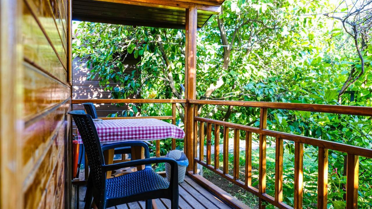 Lemon Garden Lodge Çıralı 외부 사진