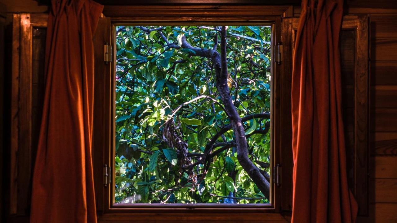 Lemon Garden Lodge Çıralı 외부 사진