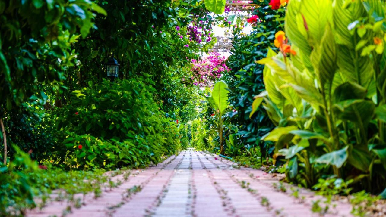 Lemon Garden Lodge Çıralı 외부 사진