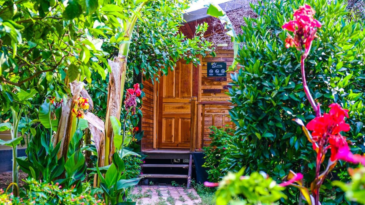 Lemon Garden Lodge Çıralı 외부 사진