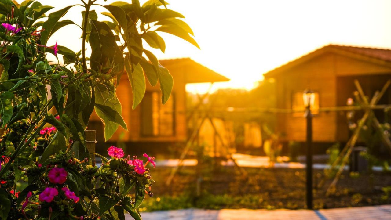 Lemon Garden Lodge Çıralı 외부 사진