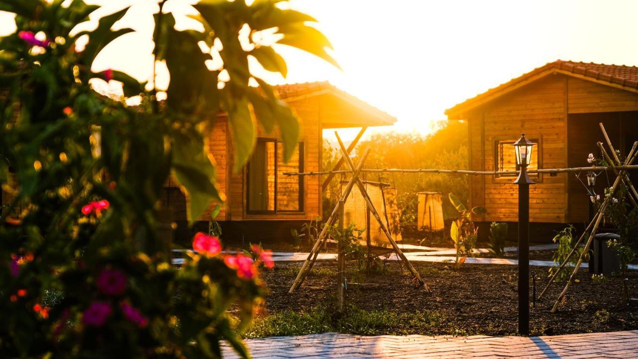Lemon Garden Lodge Çıralı 외부 사진