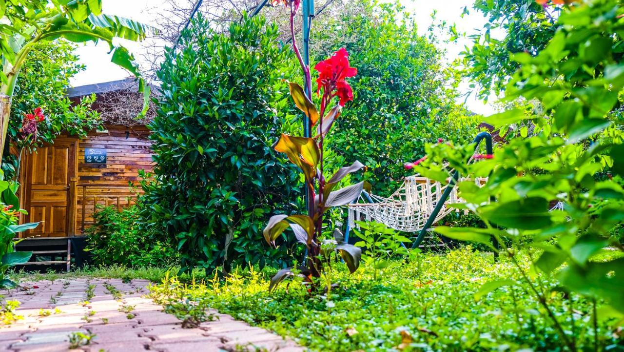 Lemon Garden Lodge Çıralı 외부 사진