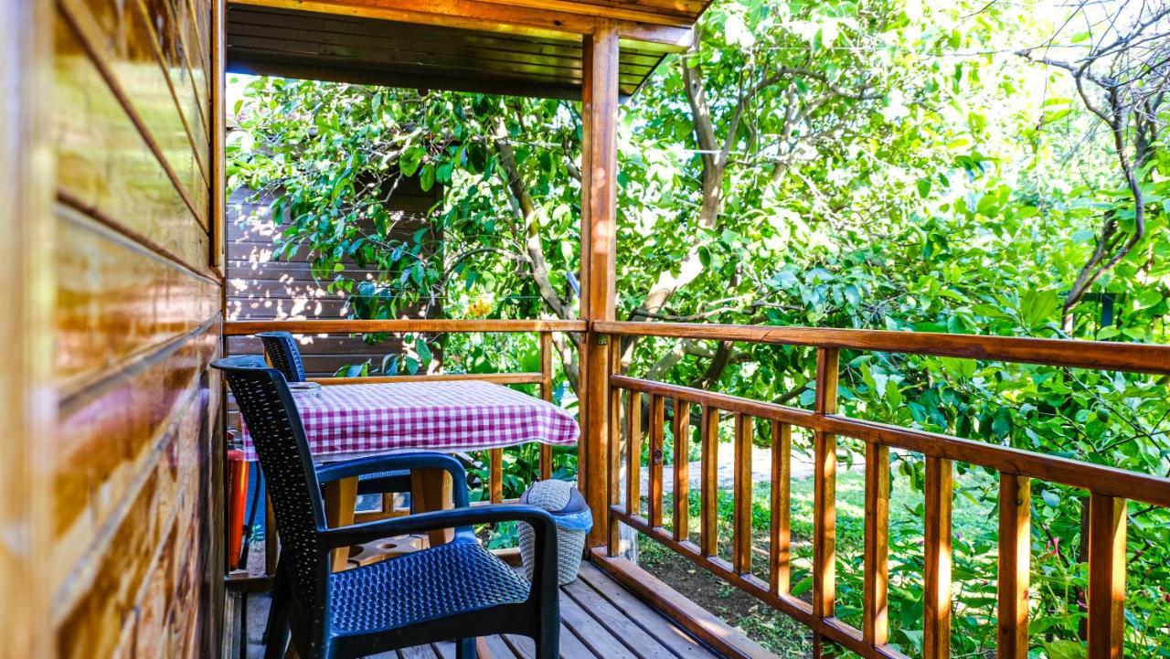 Lemon Garden Lodge Çıralı 외부 사진