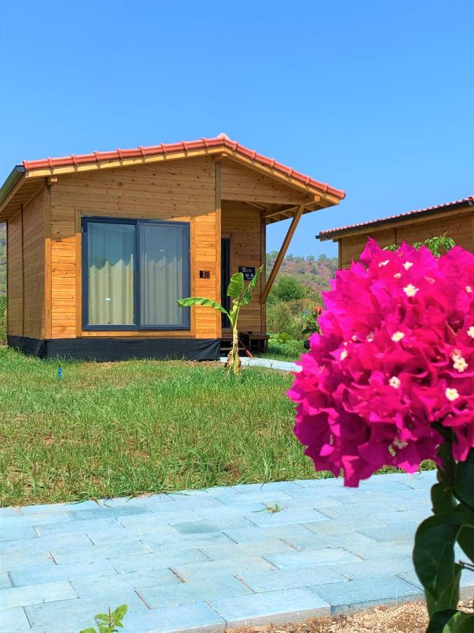 Lemon Garden Lodge Çıralı 외부 사진