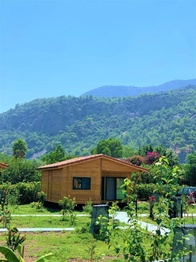 Lemon Garden Lodge Çıralı 외부 사진