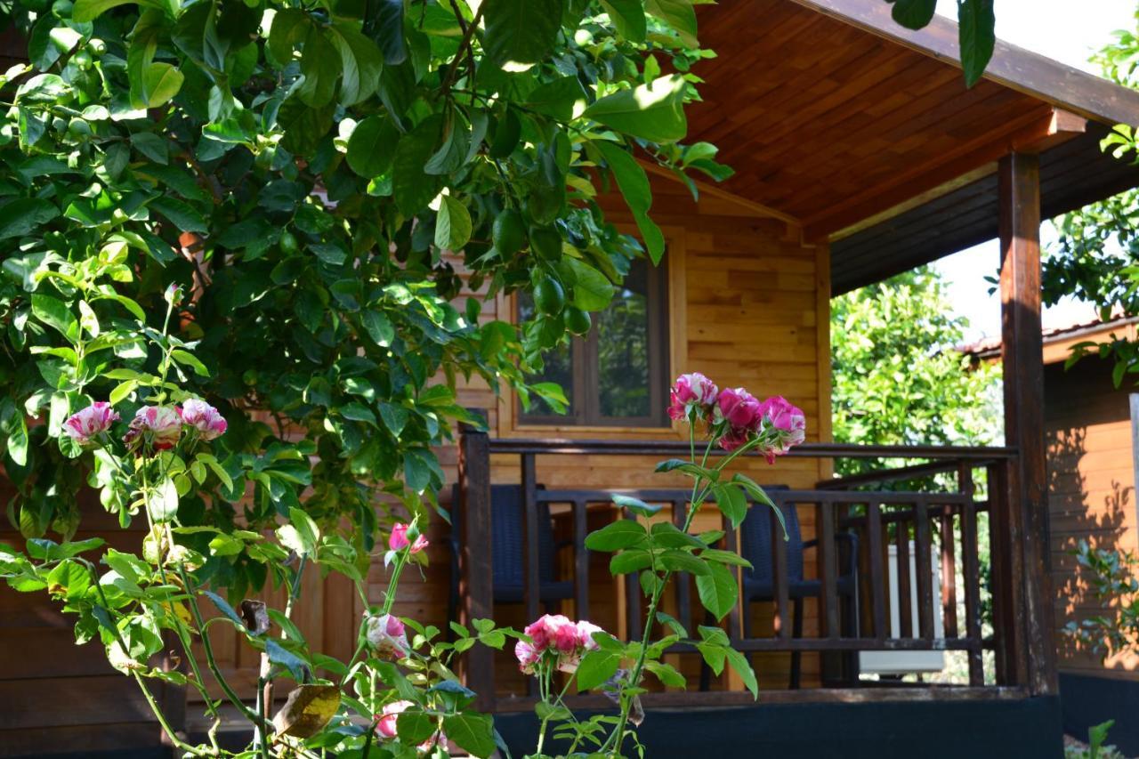 Lemon Garden Lodge Çıralı 외부 사진
