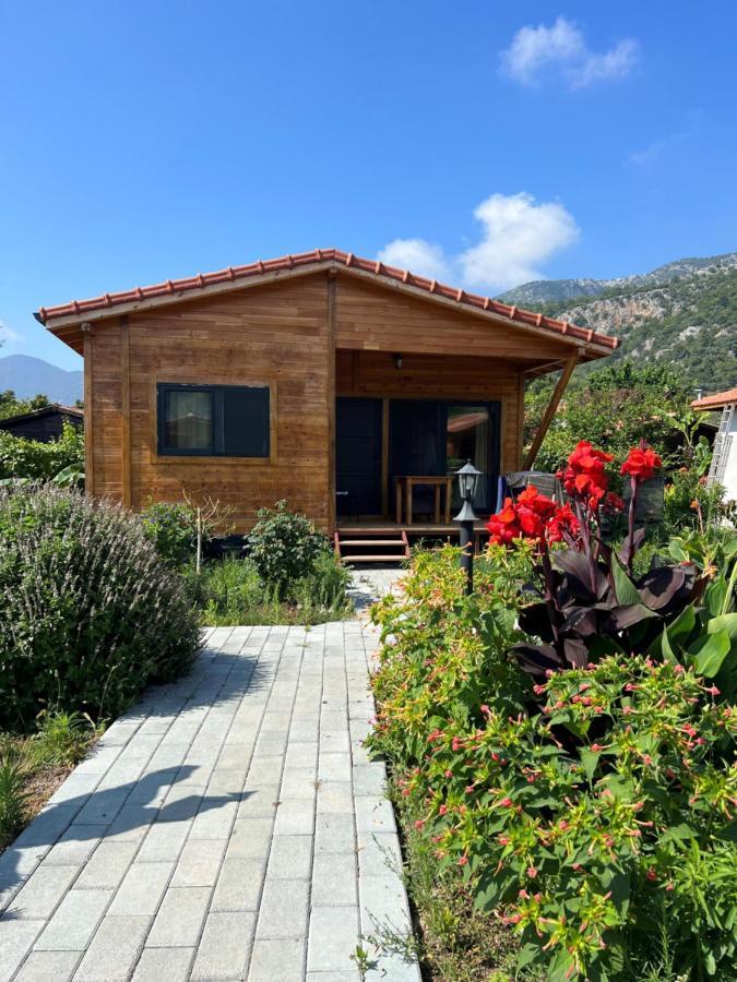 Lemon Garden Lodge Çıralı 외부 사진