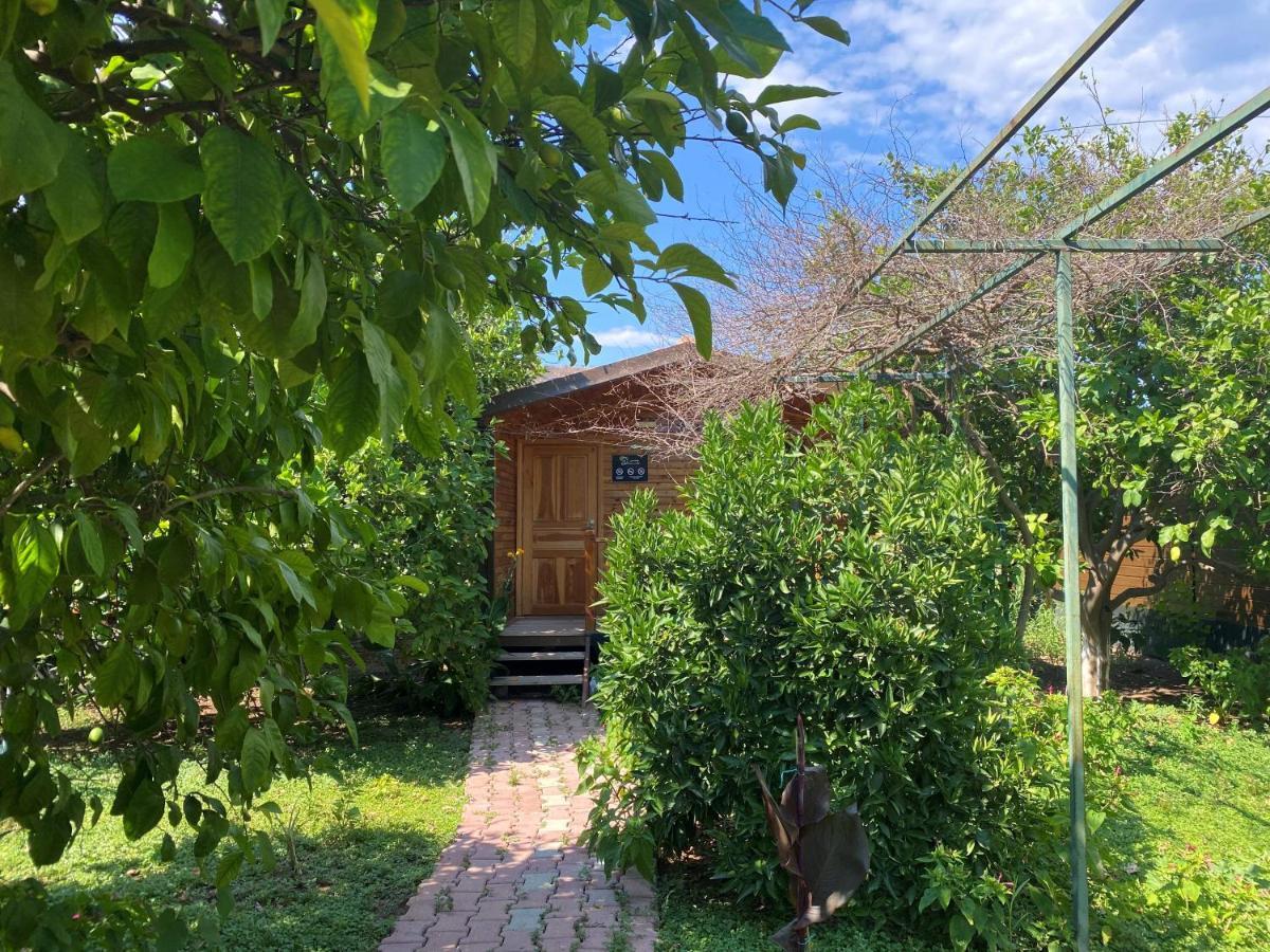 Lemon Garden Lodge Çıralı 외부 사진