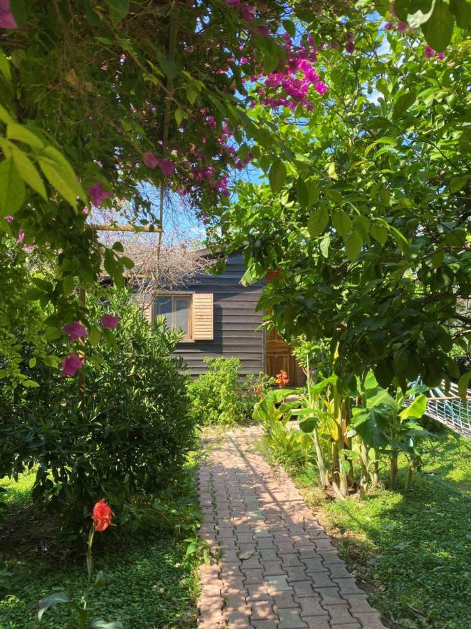 Lemon Garden Lodge Çıralı 외부 사진