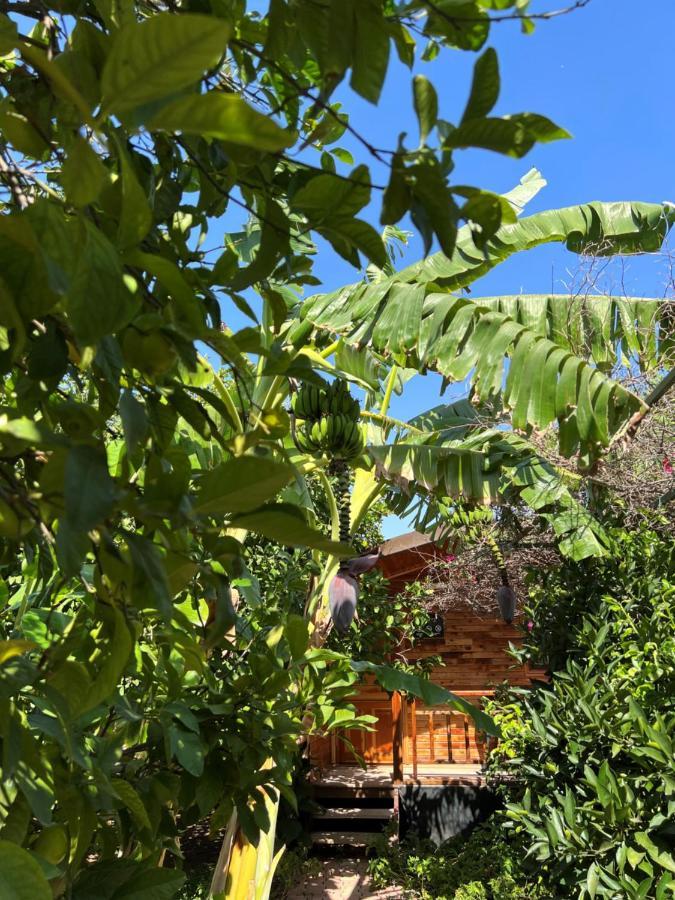 Lemon Garden Lodge Çıralı 외부 사진