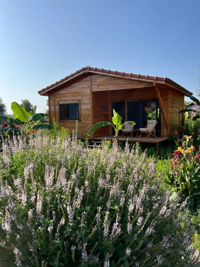 Lemon Garden Lodge Çıralı 외부 사진
