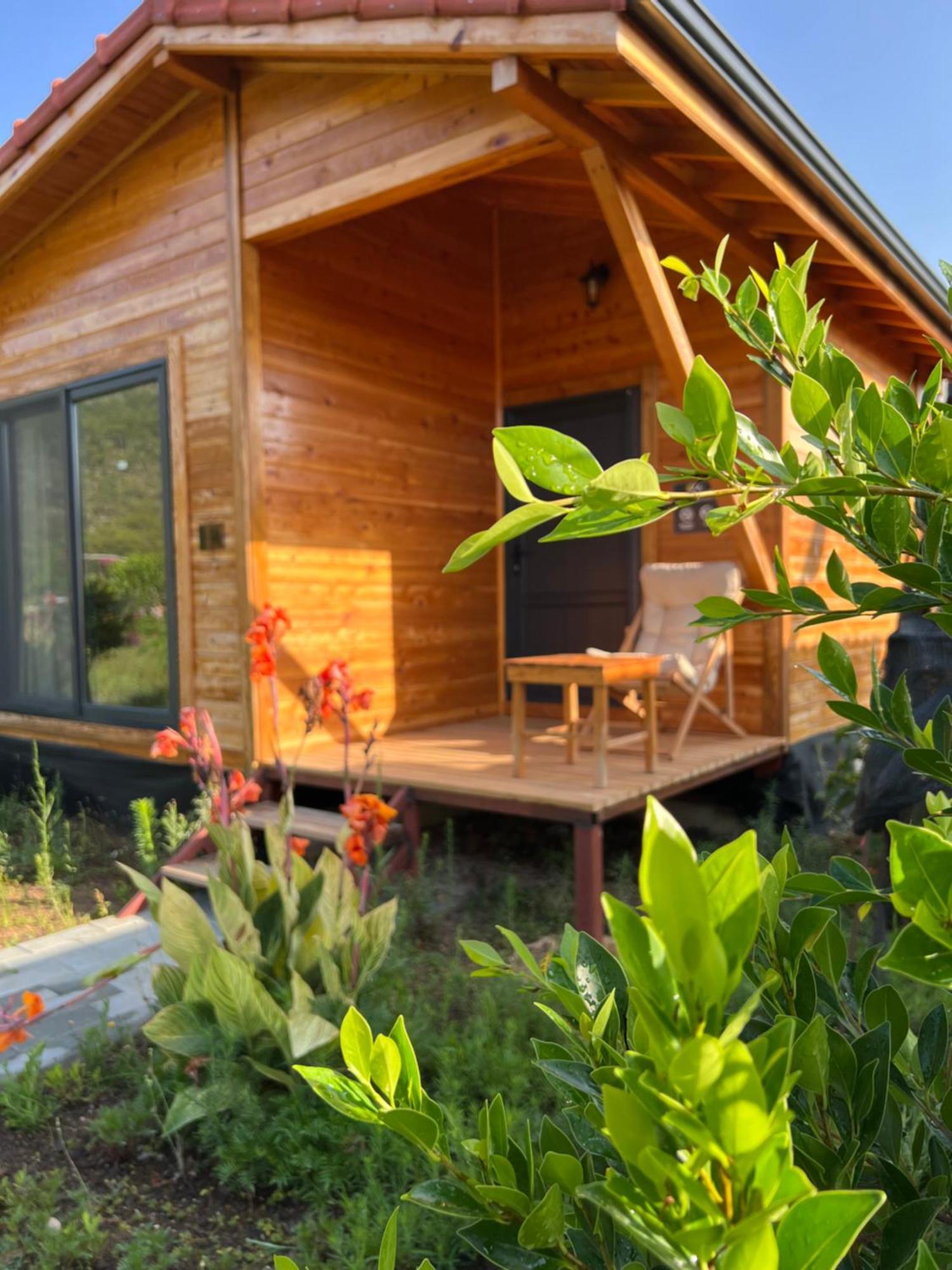 Lemon Garden Lodge Çıralı 외부 사진