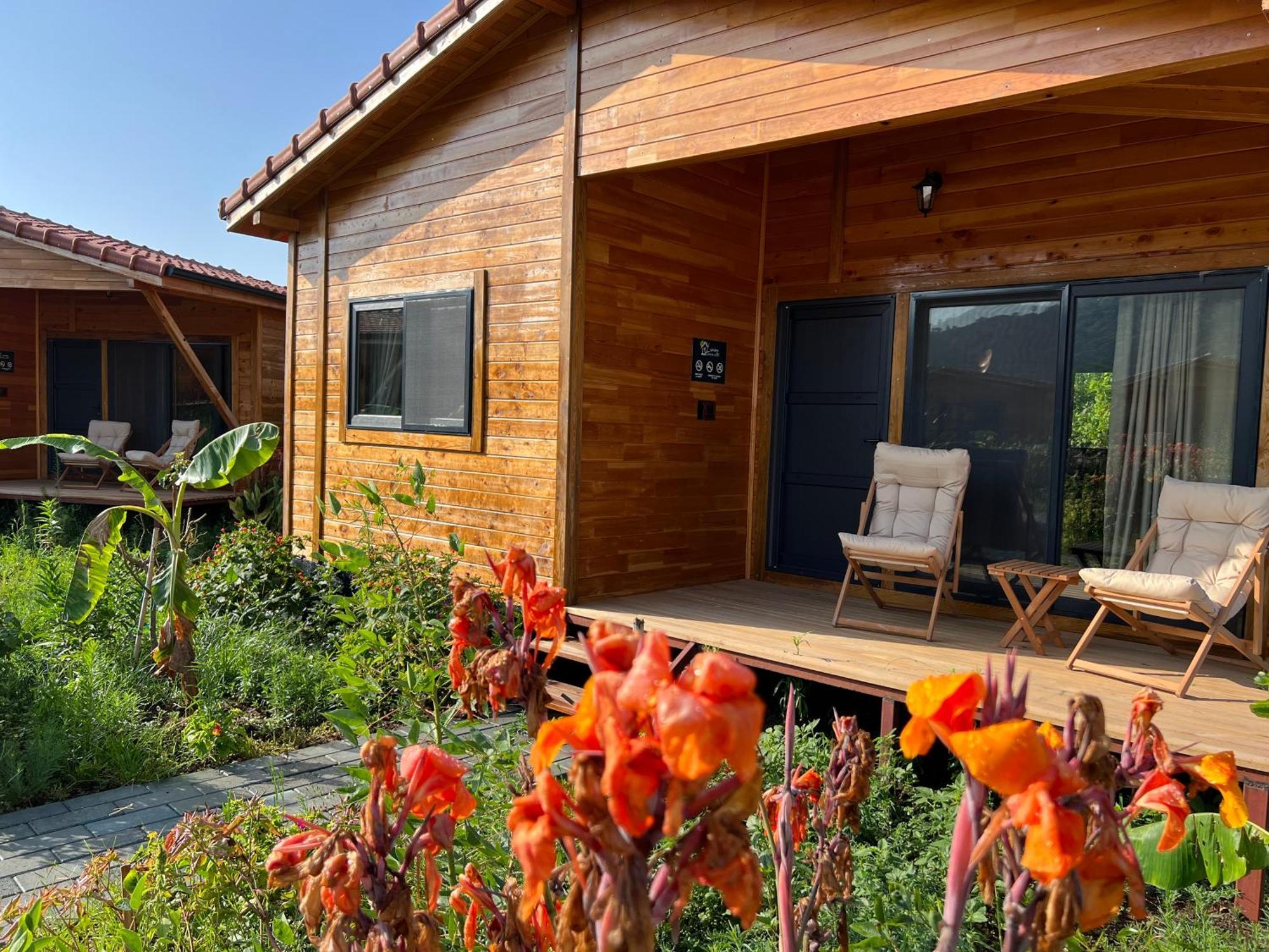 Lemon Garden Lodge Çıralı 외부 사진