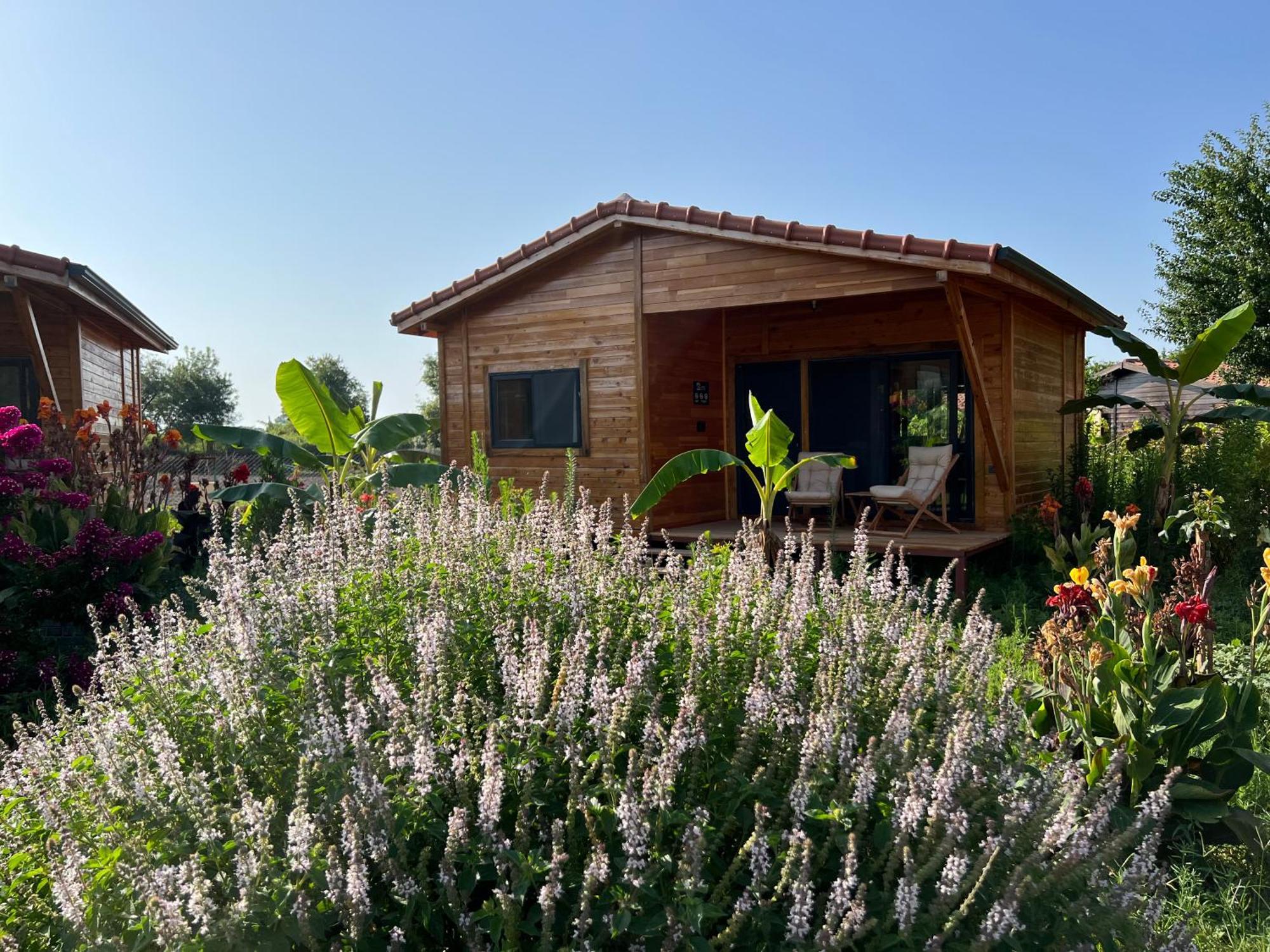 Lemon Garden Lodge Çıralı 외부 사진