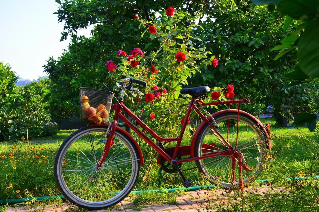 Lemon Garden Lodge Çıralı 외부 사진