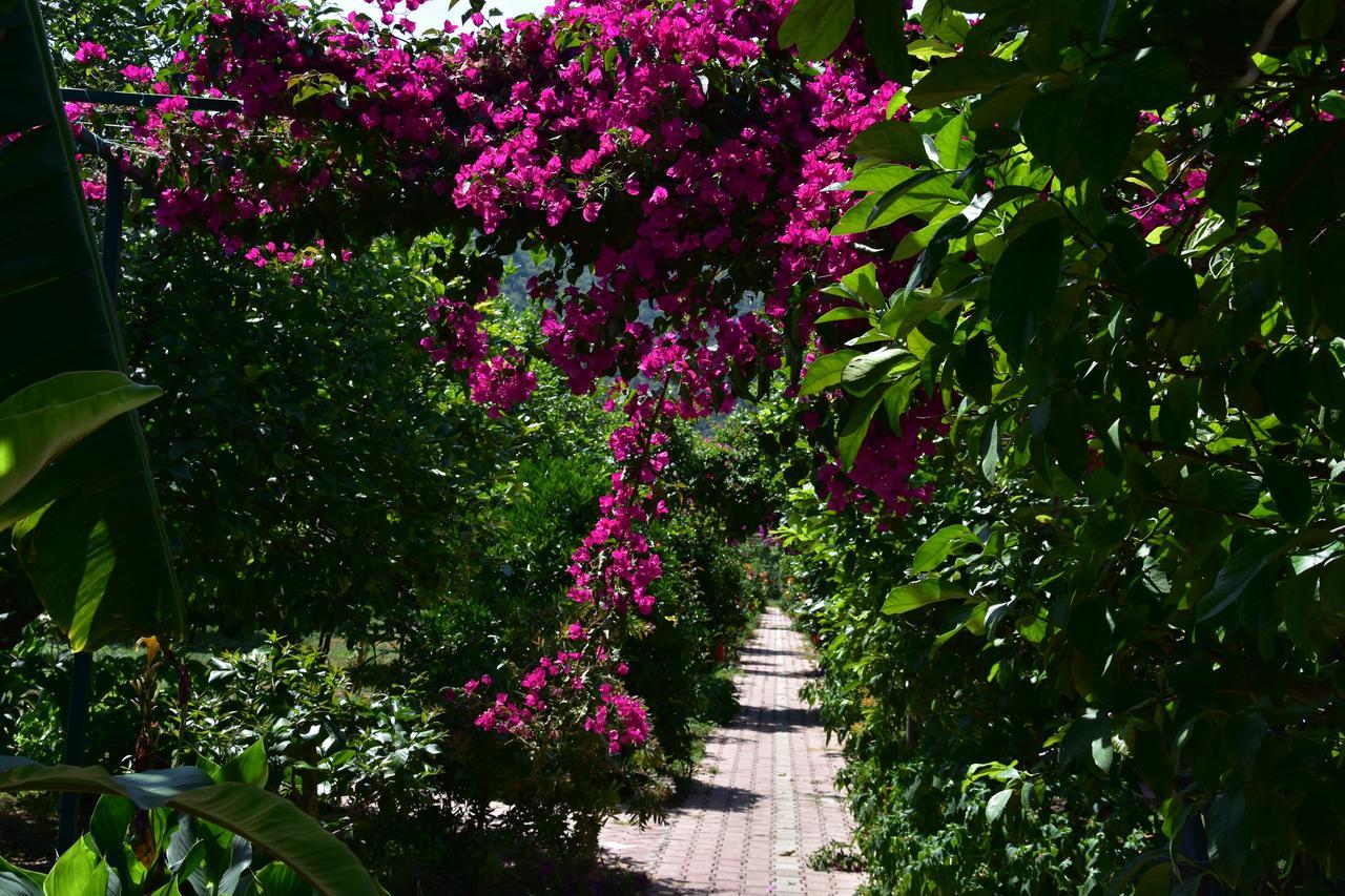 Lemon Garden Lodge Çıralı 외부 사진
