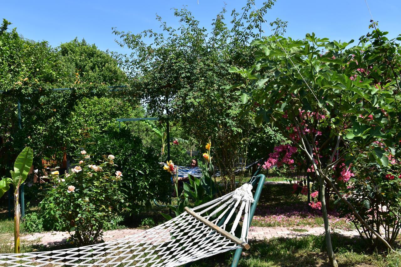 Lemon Garden Lodge Çıralı 외부 사진