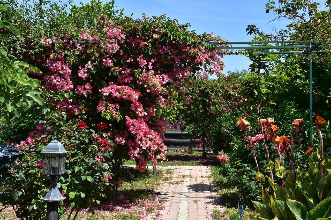 Lemon Garden Lodge Çıralı 외부 사진